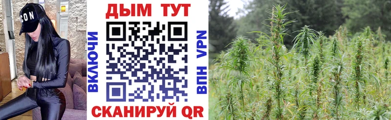 Продажа наркотиков Щёкино Гашиш  Alpha PVP  Меф мяу мяу  Конопля 
