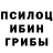 Псилоцибиновые грибы MAGIC MUSHROOMS ERRORSofkaERROR,3:45