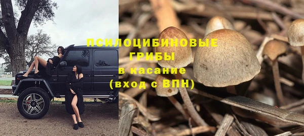 спиды Балахна