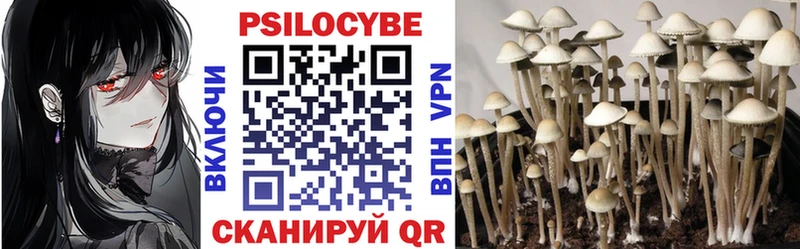 Галлюциногенные грибы Psilocybe  Щёкино 